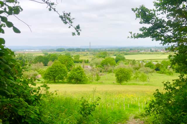 Easter Compton on the edge of Bristol has wonderful walks including the Spaniorum Skyway overlooking the River Severn (photo: Mark Taylor)