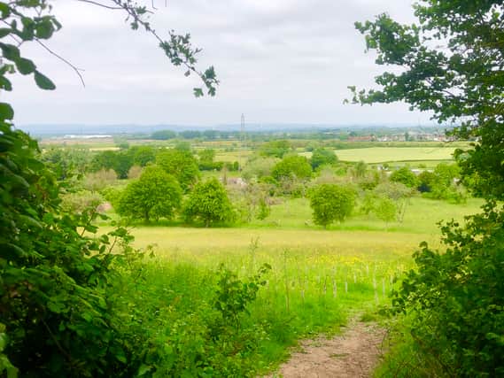 Easter Compton on the edge of Bristol has wonderful walks including the Spaniorum Skyway overlooking the River Severn (photo: Mark Taylor)