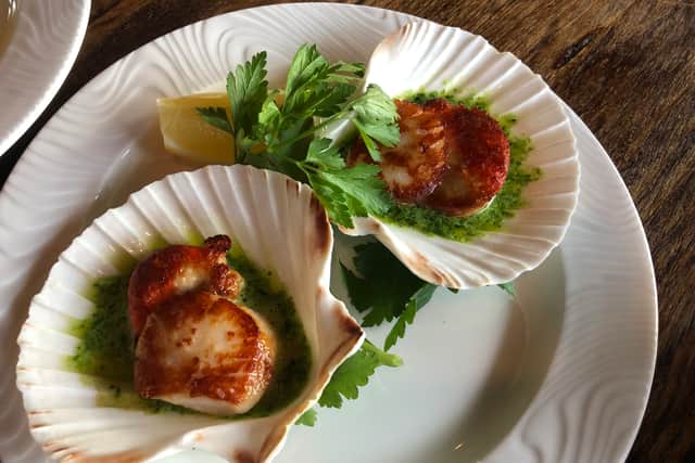 Hand-dived Orkney Isle scallops with garlic and fresh herb butter