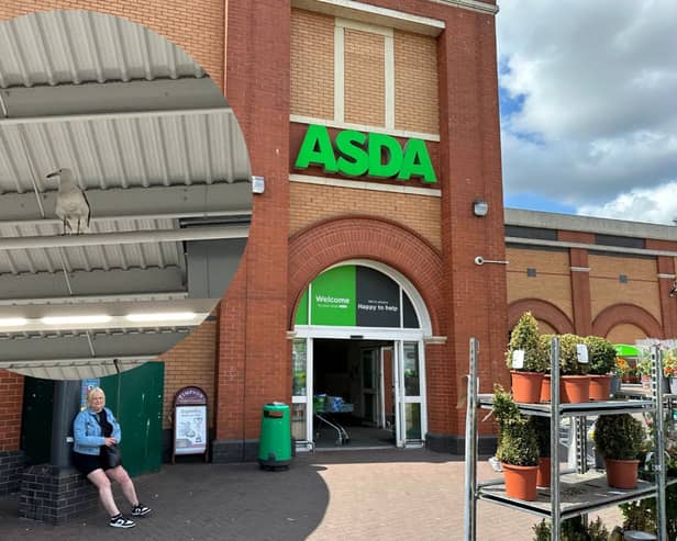 The seagull has been spotted in ASDA supermarket in Bedminster in Bristol since June 8