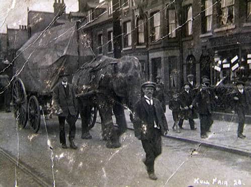 The elephant from Bostock and Wombwell circus believed to have been buried in Kingswood (Image courtesy of National Fairground & Circus Archive)