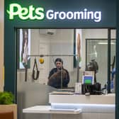 Full grooms is one of the services for dogs at Vets for Pets in Emersons Green
