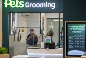 Full grooms is one of the services for dogs at Vets for Pets in Emersons Green