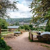 A fundraiser last year to ensure the future of Bath City Farm for another year smashed its £30,000 target