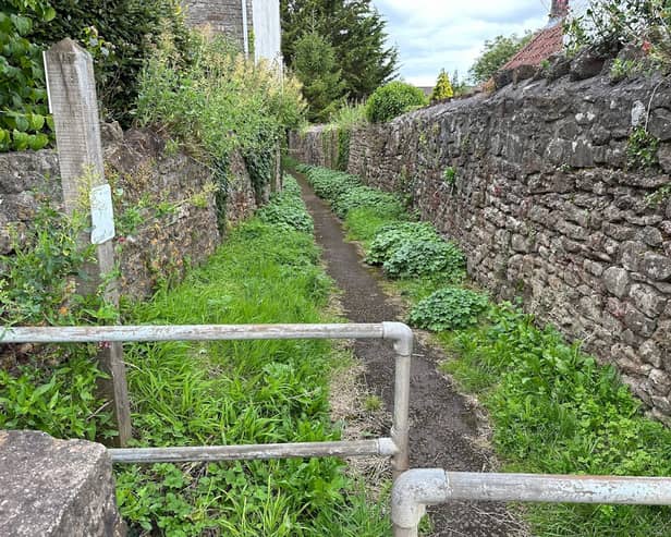 Off the main road, on the lefthand side, opposite a lane called The Coombe, is a walled walkway which takes you slightly down a hill through the village.