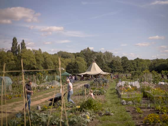 Roots Allotments hope to repeat the success of their allotment on the outskirts of Bath