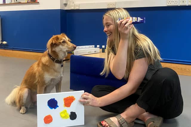 Alba shows of her work with Bristol Animal Rescue Centre’s Jodie
