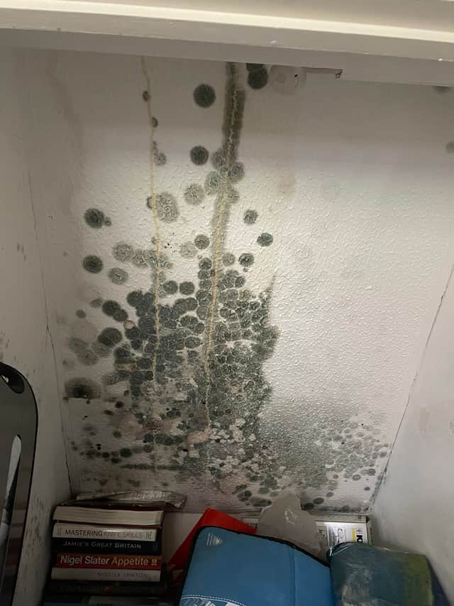 Mould grows inside the Underwood's home after a burst pipe flooded their home