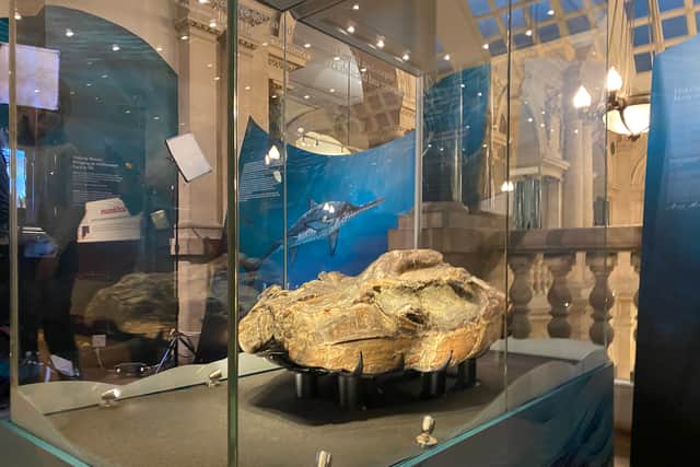 Mary Anning’s 'astonishing' ichthyosaur discovery has gone back on display at Bristol Museum  