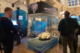 Mary Anning's 'astonishing' ichthyosaur discovery has gone back on display at Bristol Museum 