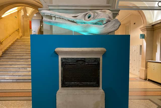 A specially commissioned life-size reconstruction of a complete Temnodontosaurus skull has also been put on display in the museum's main hall 