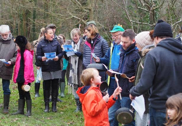 Wassailing at Clevedon Community Orchard