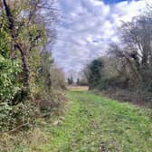 Hawkfield Meadows is a nature reserve in South Bristol 