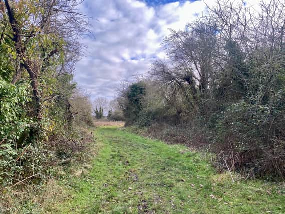 Hawkfield Meadows is a nature reserve in South Bristol 