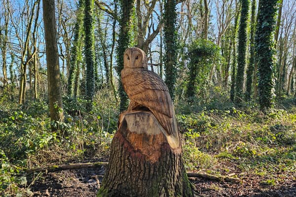 We came across a wooden owl sculpture at Savages Wood in the area behind the leisure centre.
