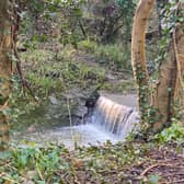 The Crox Bottom nature reserve, which connects Hartcliffe Way to Hengrove Way, is a peaceful walk with woodland, bridges and waterfalls 