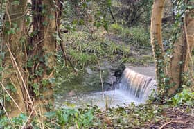 The Crox Bottom nature reserve, which connects Hartcliffe Way to Hengrove Way, is a peaceful walk with woodland, bridges and waterfalls 