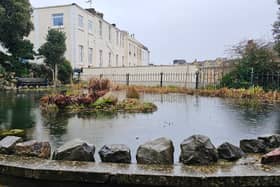 After the friends of Prince Consort raised over £12,000 in 2018, the underused boating pond was converted into a wildlife pond with a design that took reference from the original pre-1960s Victorian pond.