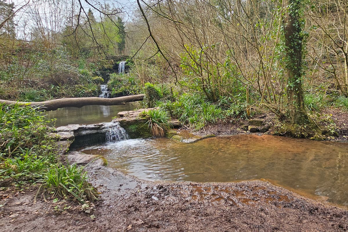 We visit the hidden gem ancient woodland near Bristol with pools and waterfalls 