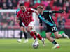 Bristol City player ratings v Leicester City: 'Outstanding' trio score 8/10 as Robins defeat Premier League hopefuls