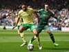 Bristol City player ratings v Plymouth Argyle: 'Faultless' trio of 8/10s scored but one 5 as Robins beat 10-man Pilgrims