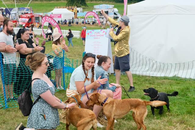 Paw-tastic DogFest Bristol returns this weekend with dog shows, breed ...