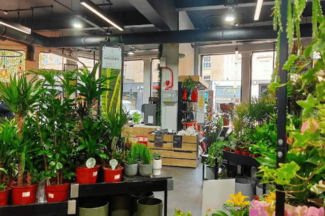 Dobbies Store Map Dobbies: Popular gardening store in Bristol to close down by the end of ...