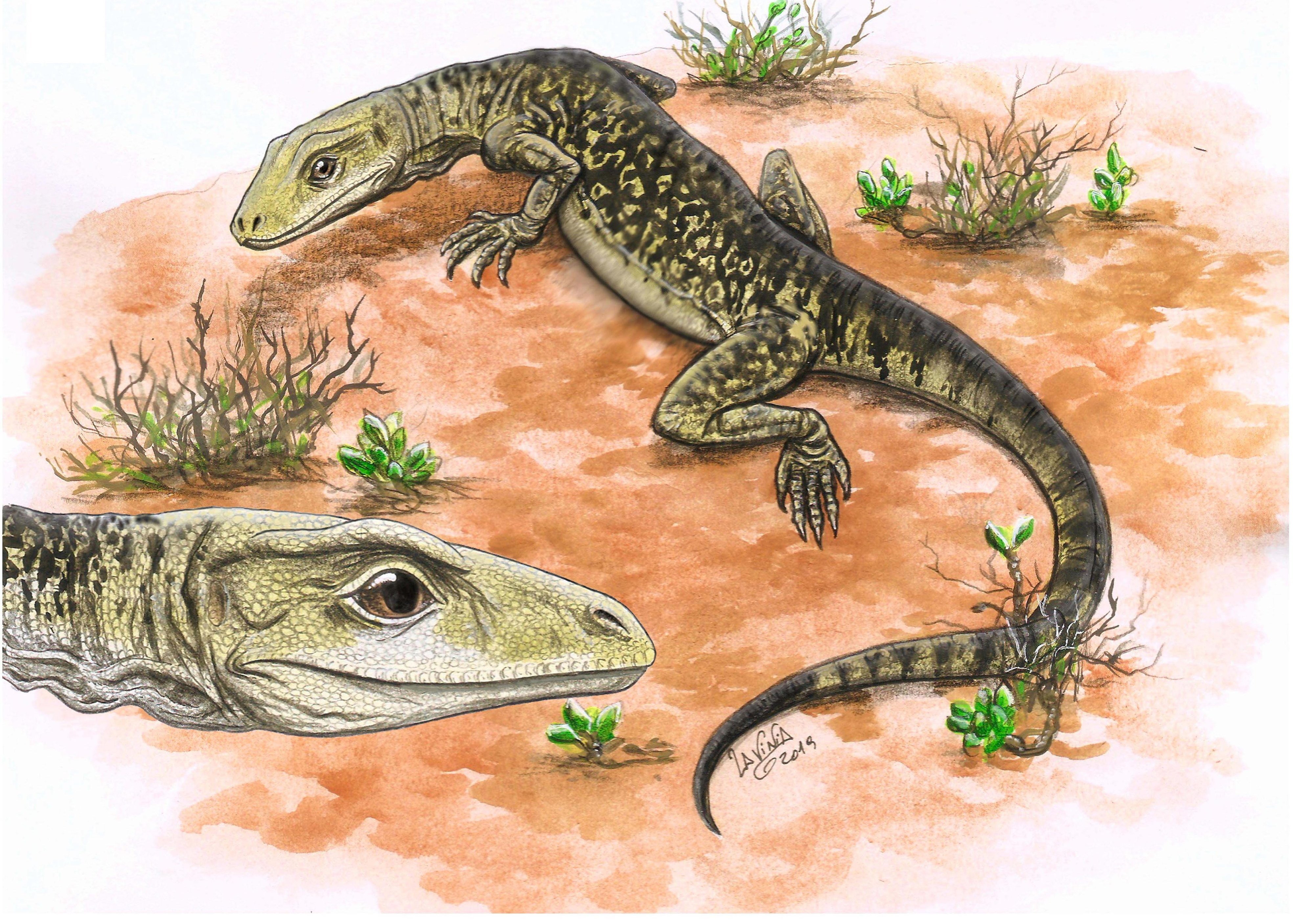 Lizards Relative Tiny lizard found in quarry near Bristol is the world's oldest at 205 ...