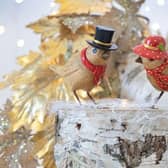 These Duckensian Birds are the perfect Christmas present!